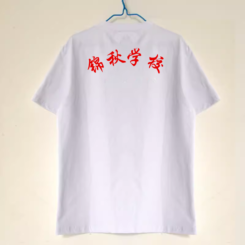 北京市海淀区锦秋学校校服夏季薄款圆领短袖背心T恤纯棉速干薄款