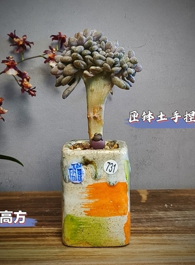 景德镇手工多肉花盆坛子姐匣钵土手捏小高方彩色油画风肉锥花盆