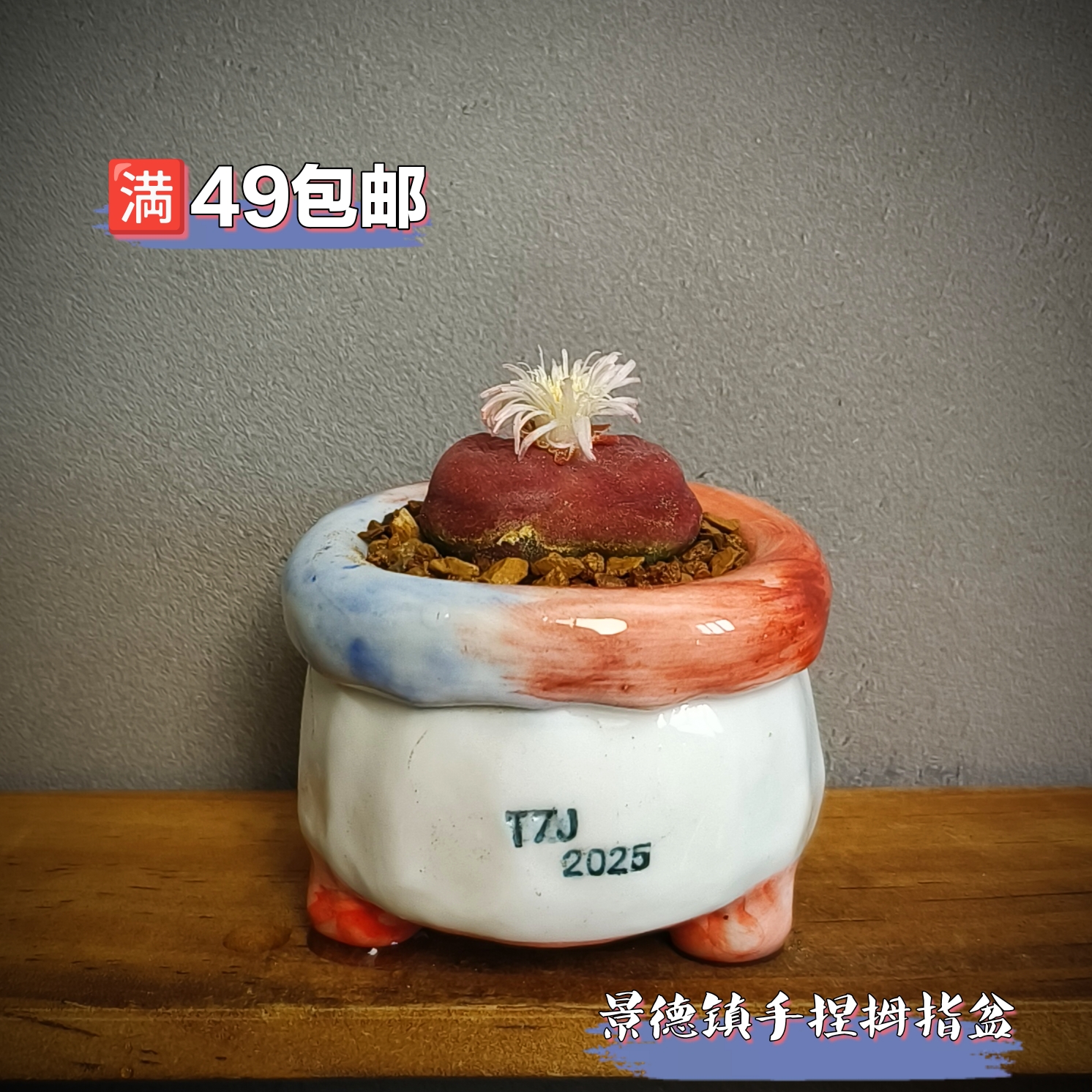 景德镇手工多肉花盆坛子姐手捏拇指盆肉锥生石花花盆迷你小花盆