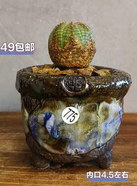 景德镇手工多肉花盆坛子姐手捏山石小老桩陶土粗陶复古小花盆