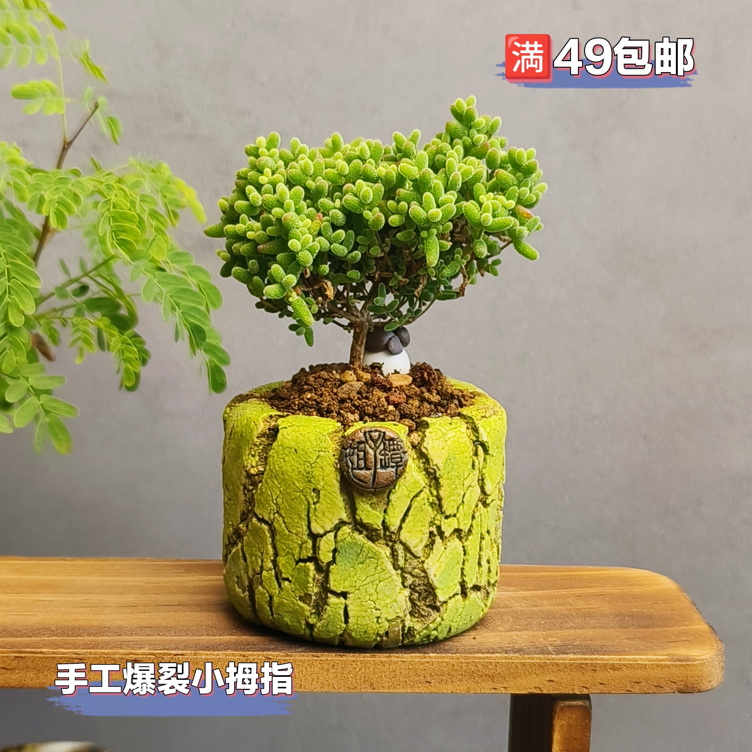 景德镇手工多肉花盆坛子姐爆裂彩色小圆盆拇指盆迷你盆肉锥花盆