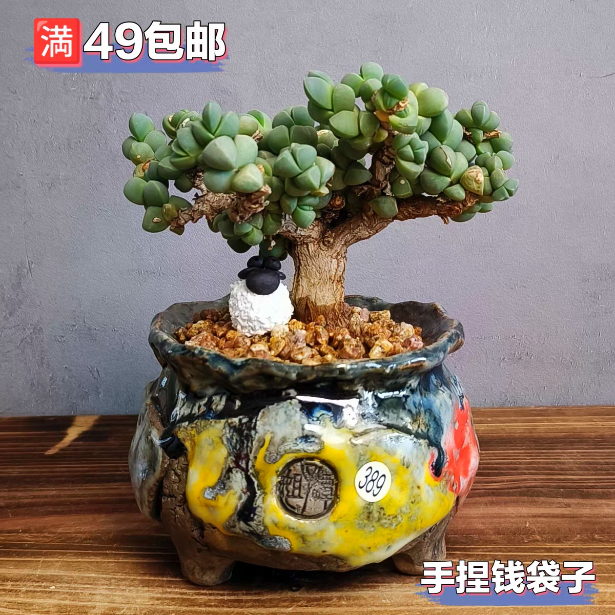 景德镇手工多肉花盆坛子姐小钱袋粗陶复古手捏肉锥花盆PP盆绿植