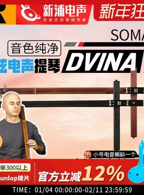 SOMA LABORATORY DVINA 弦鸣乐器 二胡 提琴 Soma Labs