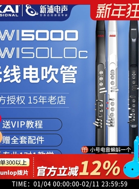 AKAI雅家雅佳EWI5000/SOLOc SOLO中老年人电吹管乐器进口电葫芦丝