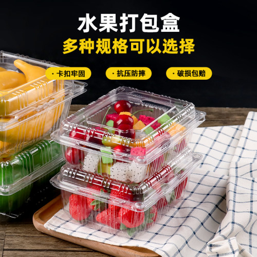 长方形塑料透明水果打包盒