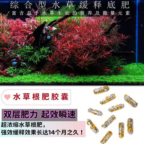 水草基肥底肥鱼缸缓释肥料固体长效颗粒肥陶粒砂水草泥能源沙根肥