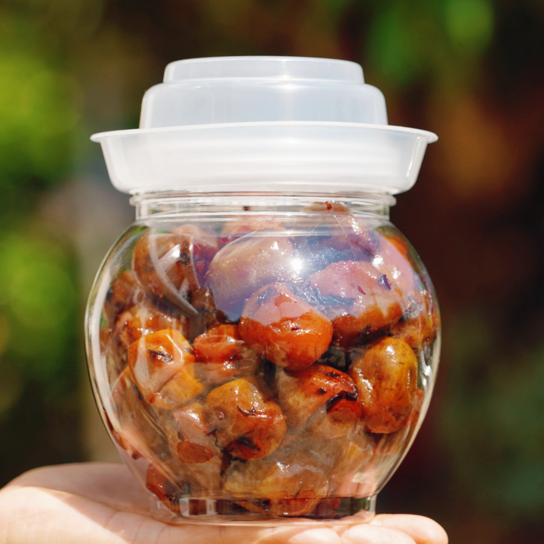 寒蝉骤雨一坛紫苏酸枣粒500g