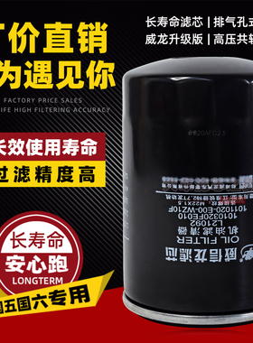 L21092机滤芯1010320FE010适配江淮锐捷特2.7 1011020-E00-WZ10F