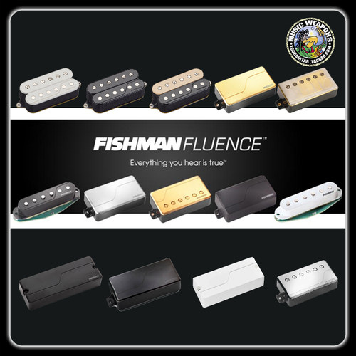 FishmanSingleWidthFluence