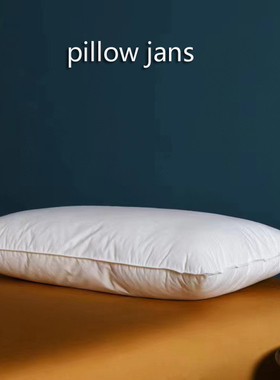 高端专柜枕芯Pillow 超柔回弹护颈健康枕头外贸开关工作 单只价