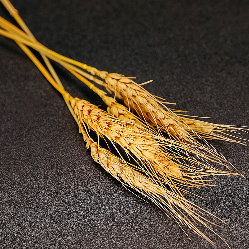 酒吧传奇 原生态麦穗 创意鸡尾酒装饰物 麦穗麦秆干花 麦子杆麦秸|ruв категории Домашний быт, ваза/цветок/искусственные цветы/моделирование украшения, сушеные цветы/лепесток/сушеные цветы пакет/сухие ветки - от Buy2taobao.com для оказания профессиональной услуги покупки агента Taobao