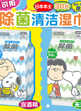 日本进口scottie宝宝湿巾手足餐具玩具清洁除菌湿巾史努比联名款