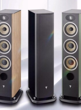 法国劲浪 Focal EVO X N2进韵2号 高保真落地音响 HIFI落地音箱