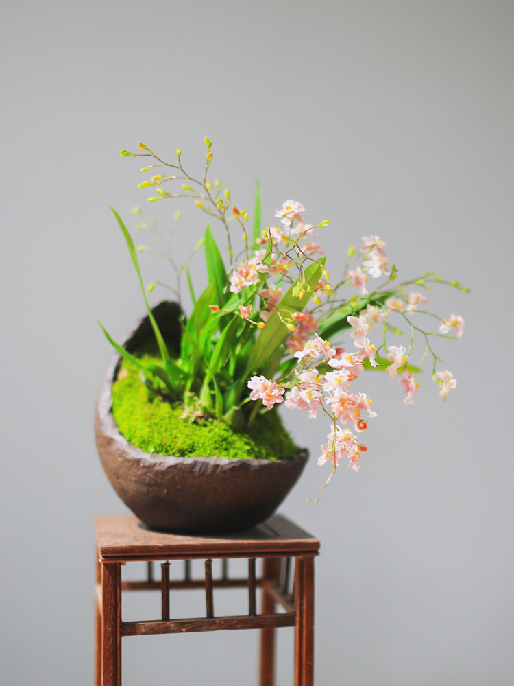 ONCIDIUM 화분 수경 식물 MENGXIANGLAN 실내 꽃 데스크탑 화분 가을과 겨울에 꽃이 피는 녹색 식물을 키우기에 좋습니다
