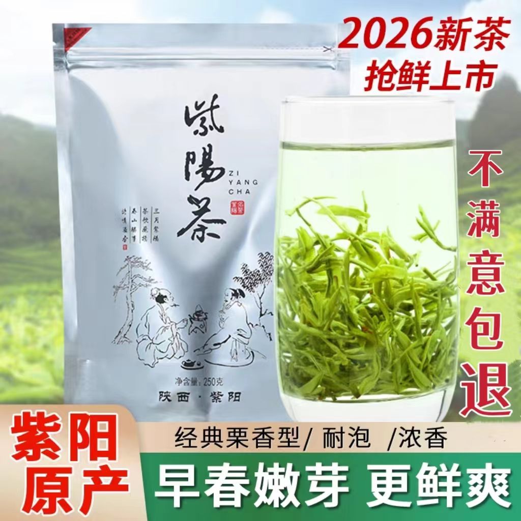 紫阳毛尖2026新茶陕西安康特产紫阳茶毛尖炒青绿茶浓香耐泡本地