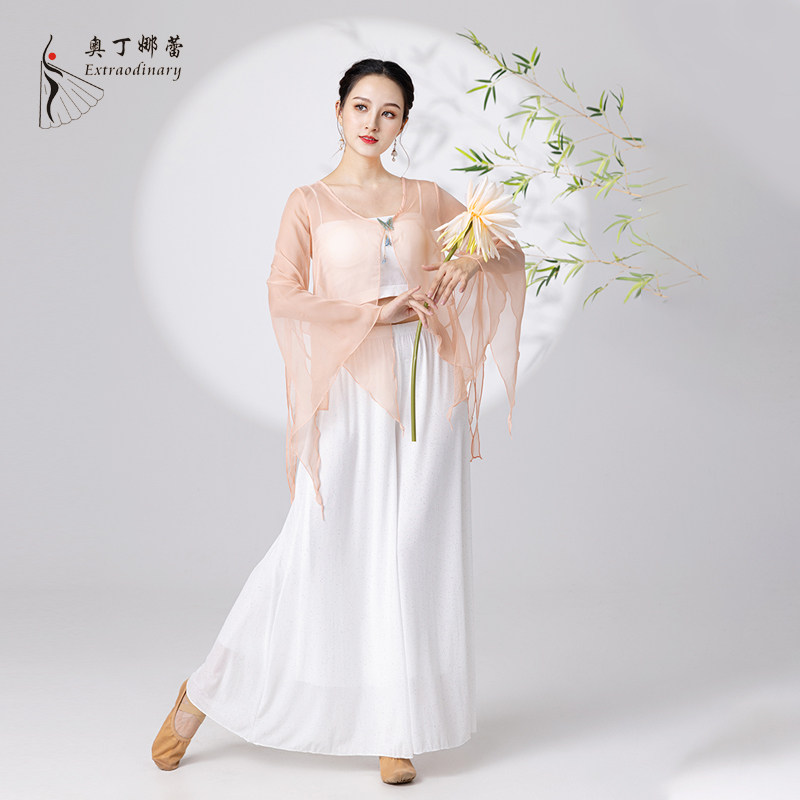 奥丁娜蕾古典舞纱衣身韵舞蹈演出飘逸表演网纱上衣中国舞练功服装