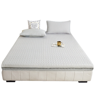 品牌床笠罩薄乳胶棕垫保护套2025新款全包拉链榻榻米专用隔脏宿舍