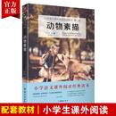 动物素描书布封五年级阅读语文教材配套快乐读书吧丛书四五六年级课外书阅读小学生课外阅读书籍小学语文1 2025新版 6年级名著书籍