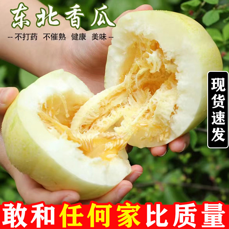 正宗东北大地香瓜水果新鲜当季精选现摘甜瓜白糖罐超甜小脆瓜整箱