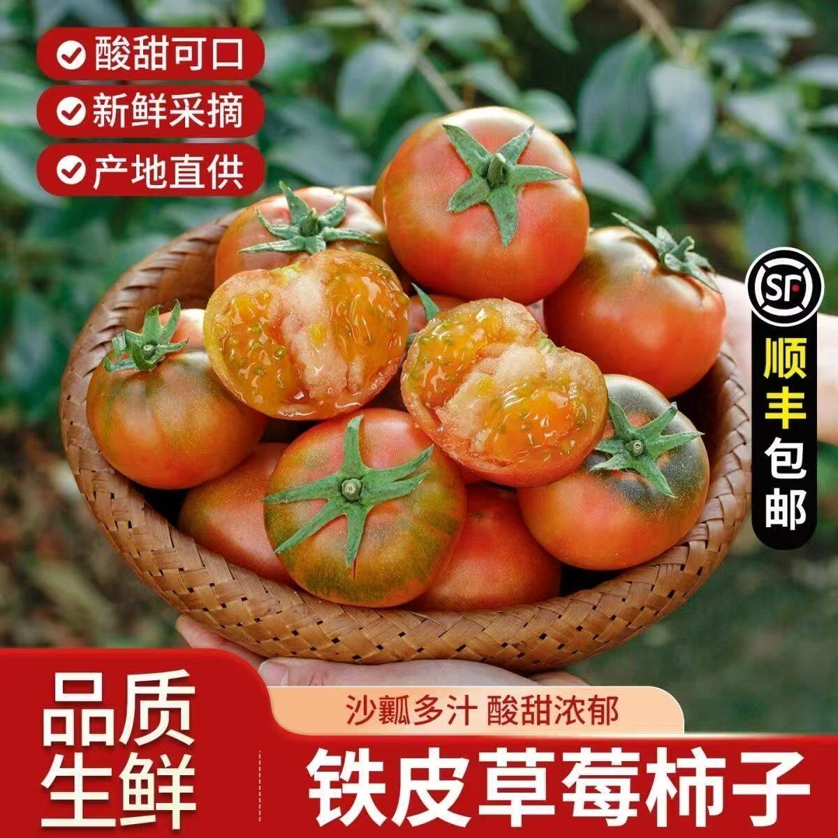 草莓柿子西红柿新鲜自然熟铁皮柿子盘锦碱地生吃水果丹东绿腚番茄