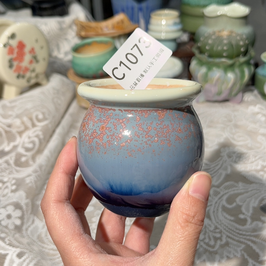 花盆,鲜花速递/花卉仿真/绿植园艺,多肉植物,淘宝优惠券,粉丝福利购,淘宝优惠卷