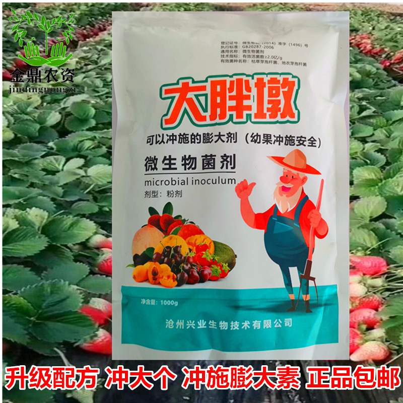 冲大个大胖墩冲施膨大素通用膨果调节剂膨果上色防裂果增甜早上市