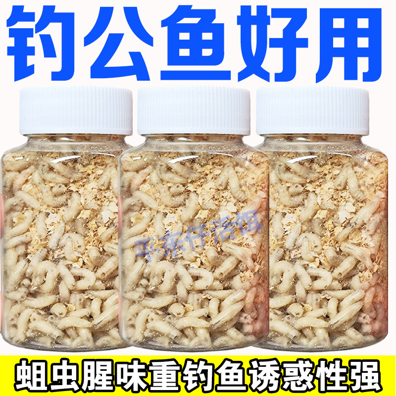 【米粒蛆虫】钓公鱼米粒蛆虫红蛆白蛆小个体蛆虫野钓冬钓冰钓昆虫