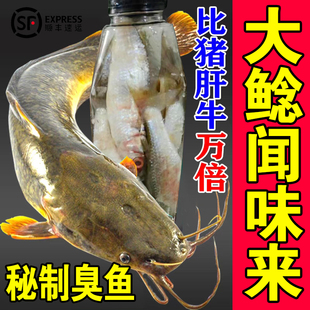 【热卖臭鱼】秘制臭鱼饵钓胡子江团大口鲶鱼饵料臭鱼饵臭餐条瓶装