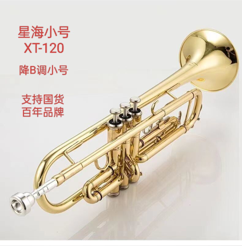 星海小号乐器B调音色透亮成人儿童入门专业考级演奏通用铜管乐器