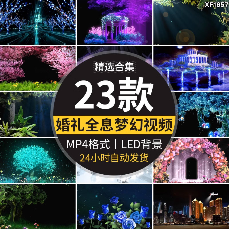 唯美婚礼婚庆开场全息梦幻影花瓣森林城堡LED大屏幕背景视频素材