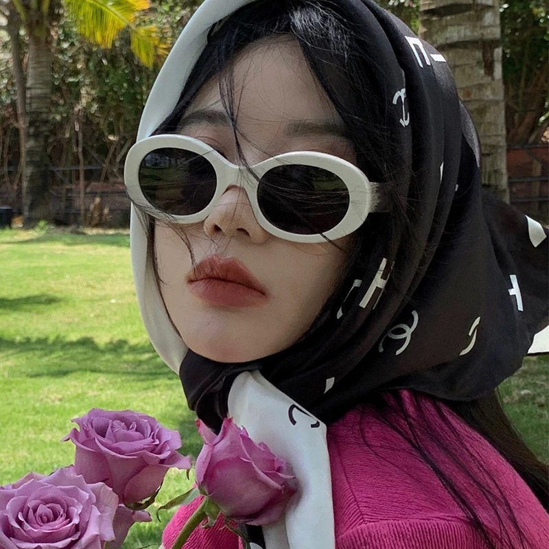 复古椭圆形墨镜女款2026新款小框眼镜野餐拍照白框太阳镜高级感潮