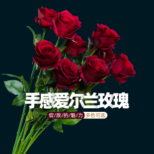 饰花 手感玫瑰花仿真花假花摆设高档摆件花客厅绢花束餐桌花摆花装