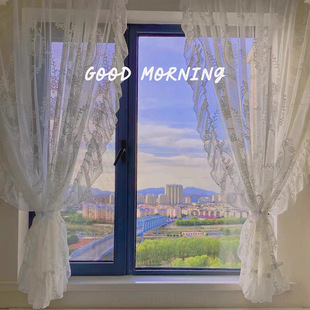 零剪网红窗帘纱公主复古蕾丝荷叶边免打孔穿杆门帘隔断纱帘成品帘