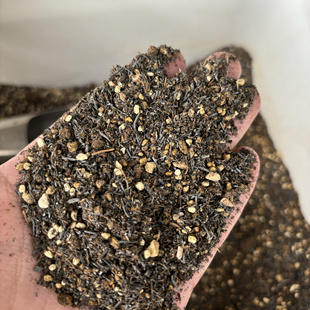 多肉植物专用颗粒土 进口泥炭 赤玉 鹿沼 麦饭石 稻壳碳 1.25KG