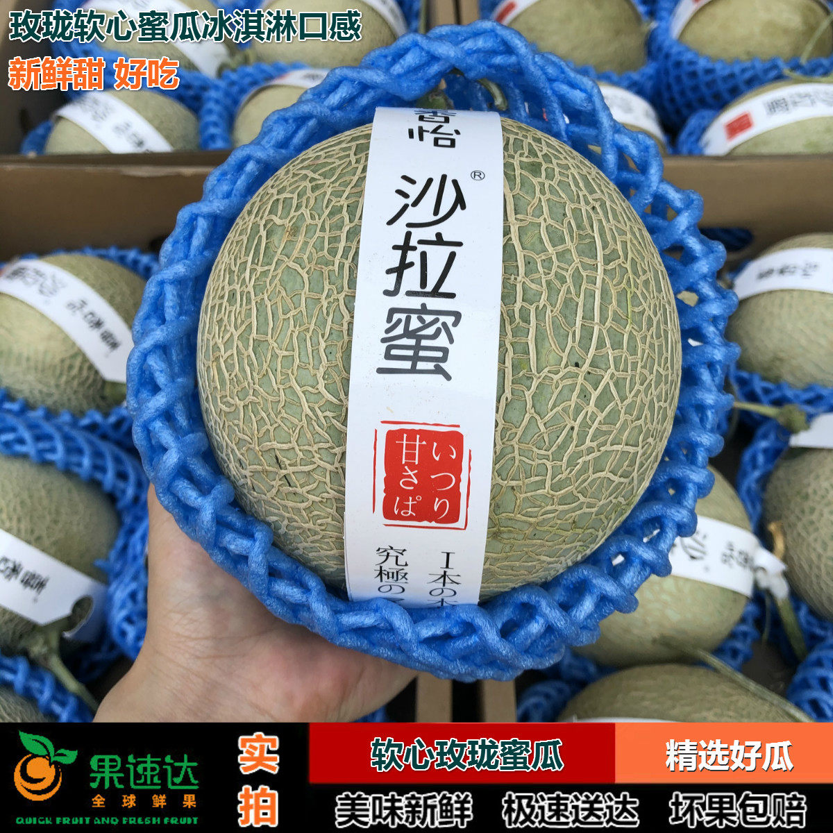 玫珑瓜网纹瓜非日本静冈哈密瓜阿鲁斯新鲜水果2颗顺丰深圳广州|msdalam kategori daging perikanan/Buah-buahan segar dan sayur-sayuran/dimasak, buah-buahan segar, Cantaloupe - dari Buy2taobao.com untuk memberikan perkhidmatan ejen Taobao profesional membeli