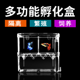 鱼缸隔离盒孔雀鱼繁殖盒神器孵化盒小鱼鱼苗亚克力悬浮式下崽母鱼