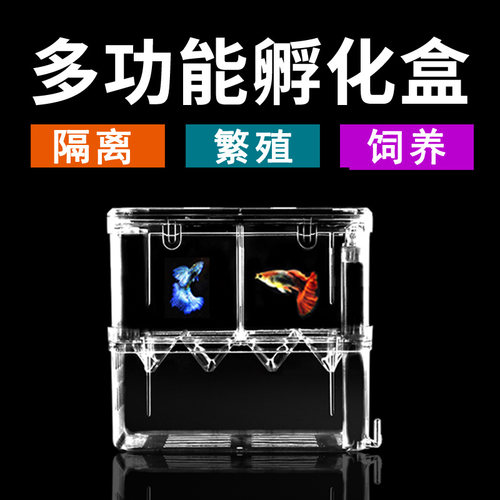 鱼缸孵化器隔离盒亚克力透明