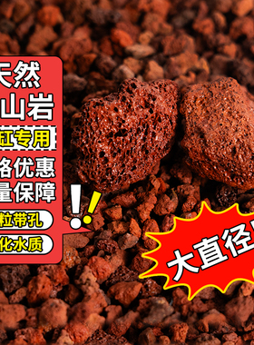 红色火山石颗粒鱼缸专用兰花多肉水族家用兰科植料黑色火山岩铺面