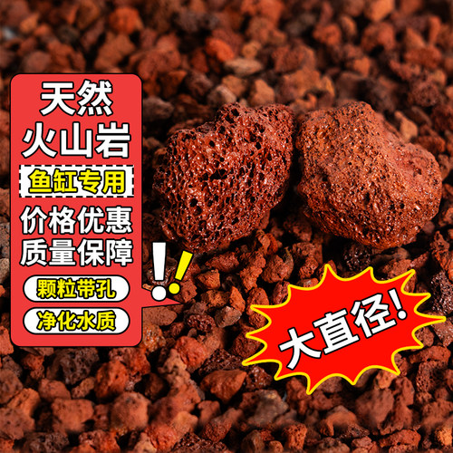 红色火山石颗粒鱼缸专用兰花多肉水族家用兰科植料黑色火山岩铺面