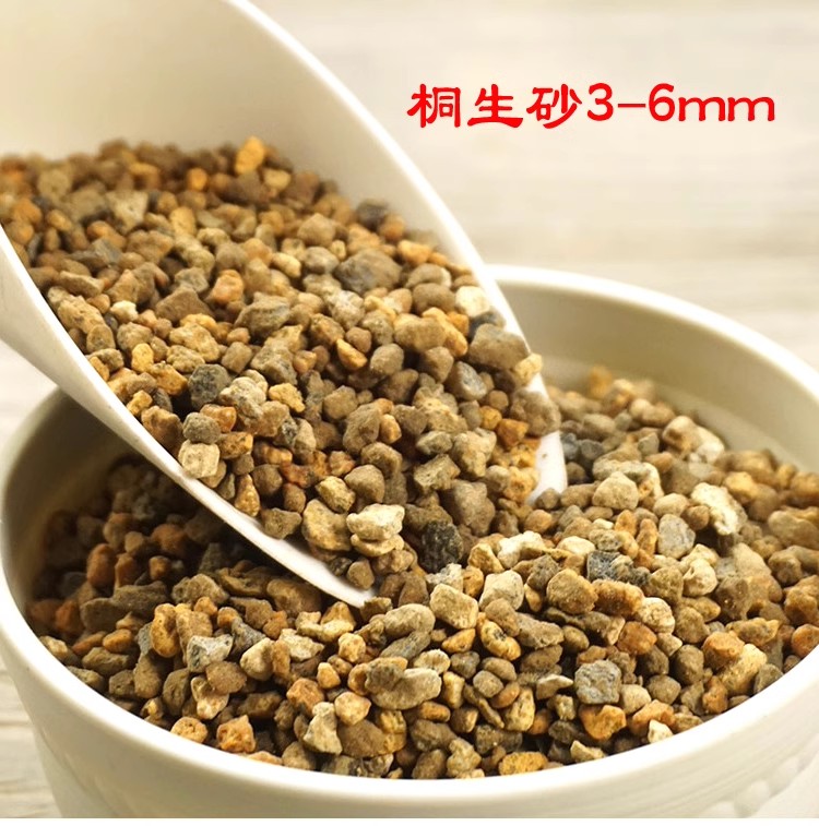 日本进口加强硬度桐生砂 颗粒铺面混土配土颗粒 多肉植物营养,鲜花速递/花卉仿真/绿植园艺,介质/营养土,淘宝优惠券,粉丝福利购,淘宝优惠卷