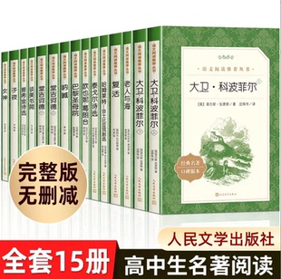 大卫科波菲尔老人与海复活哈姆莱特·莎士比亚戏剧选泰戈尔诗选欧也妮葛朗台巴黎圣母院呐喊堂吉诃德 全13册高中必读书籍原著完整版