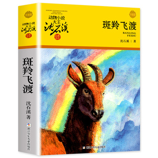 斑羚飞渡 正版沈石溪的书 沈石溪动物小说大王浙江少年儿童出版社 小学生课外书阅读三四五六年级儿童故事书 羚羊飞渡 斑羚飞度