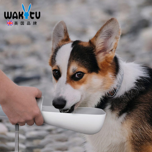 Wakytu英国宠物可折叠外出随行杯式喝水户外水杯宠物用品