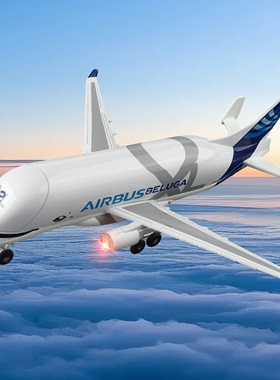 大白鲸飞机模型超级运输机仿真合金空客A300收藏摆件收藏摆件礼物