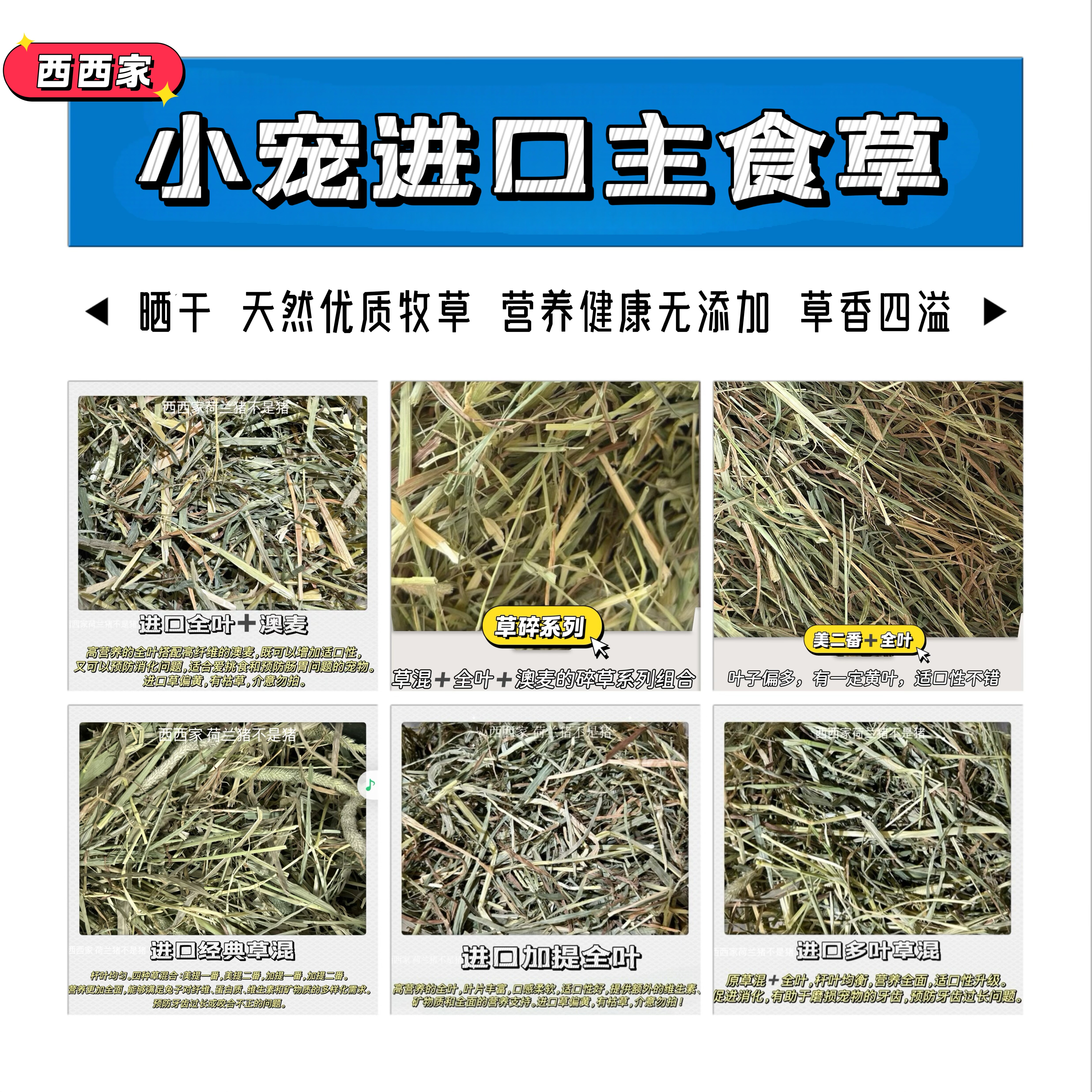 进口草加拿大美国提草澳麦晒干全兔兔干草