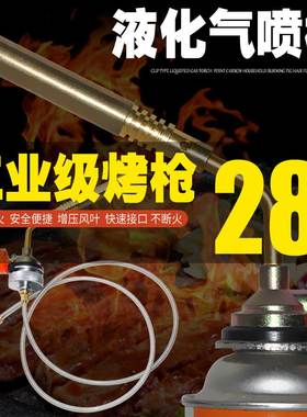 卡式液化气喷火枪抢喷灯点火枪焊枪头点碳家用烧猪毛全铜焊伙冷风