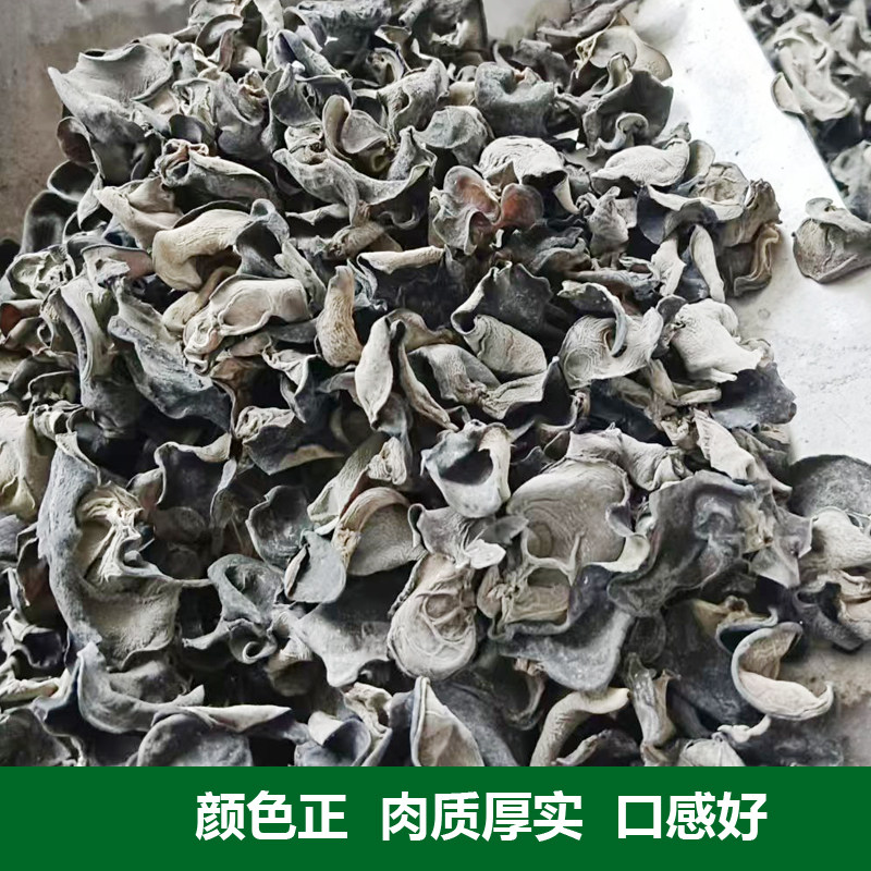 汉中土特产黑木耳秦岭自产黑木耳