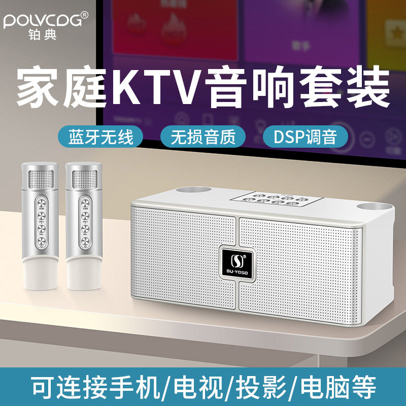 铂典家庭ktv音响套装无线K歌全套卡拉ok一体家用唱歌机麦克风话筒