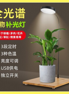 充电头台式植物灯5W补光灯多肉绿植生长灯仿太阳全光谱带定时打光