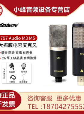 北京797Audio M3/M5 大振膜电容麦克风 专业录音直播K歌 人声话筒